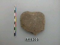 藏品(磨製石斧)的圖片